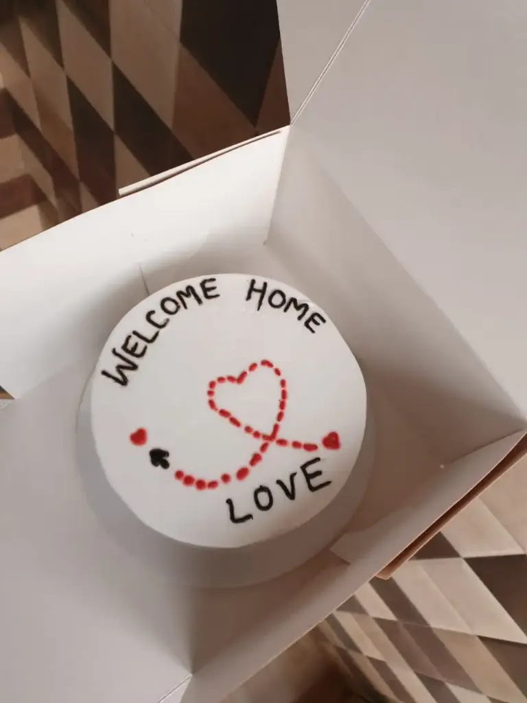 Design 046 ( 0.5 kg )